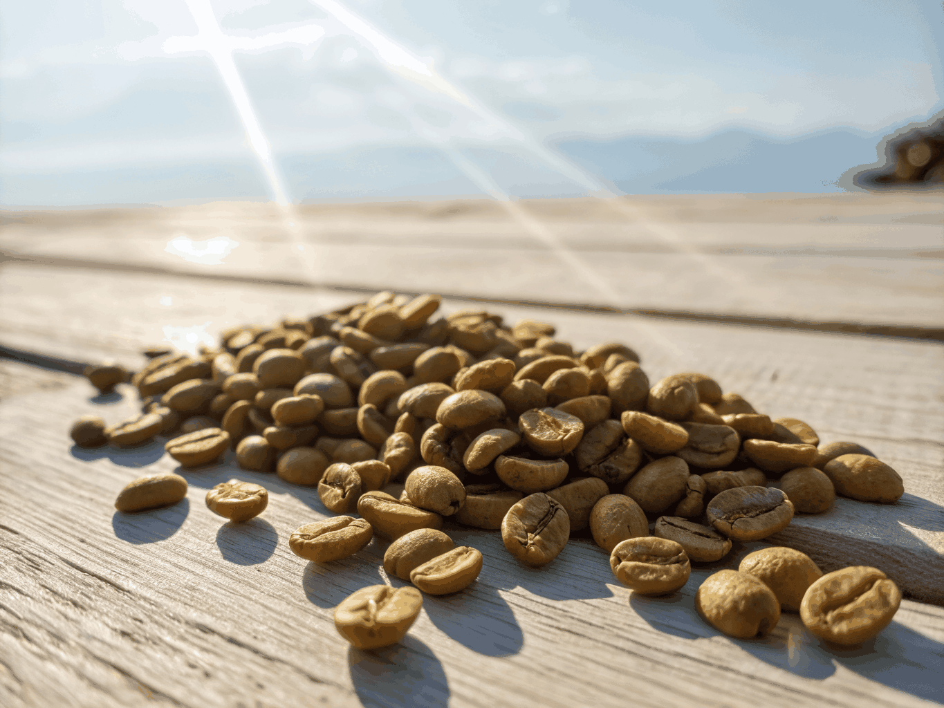 Grains de café premium d'origine Brésil du soleil du Cerrado Mineiro
